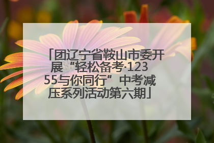 团辽宁省鞍山市委开展“轻松备考·12355与你同行”中考减压系列活动第六期