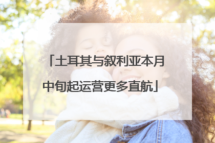 土耳其与叙利亚本月中旬起运营更多直航