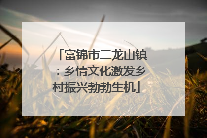 富锦市二龙山镇：乡情文化激发乡村振兴勃勃生机