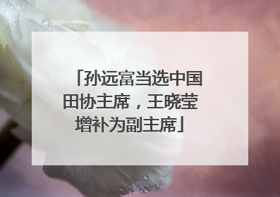 孙远富当选中国田协主席，王晓莹增补为副主席
