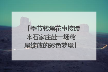 季节转角花事接续 来石家庄赴一场鸢尾绽放的彩色梦境