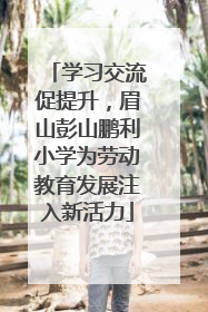 学习交流促提升，眉山彭山鹏利小学为劳动教育发展注入新活力
