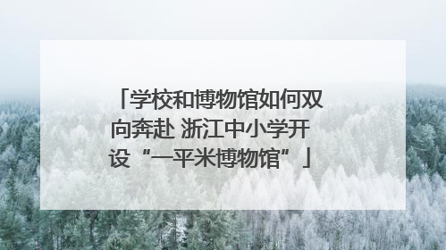 学校和博物馆如何双向奔赴 浙江中小学开设“一平米博物馆”