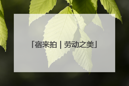 宿来拍｜劳动之美
