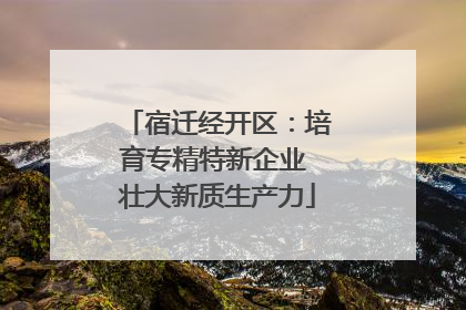 宿迁经开区：培育专精特新企业 壮大新质生产力