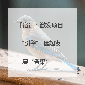 宿迁：激发项目“引擎” 挺起发展“脊梁”