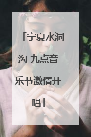 宁夏水洞沟 九点音乐节激情开唱