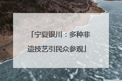 宁夏银川：多种非遗技艺引民众参观