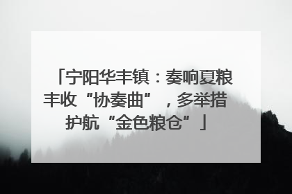 宁阳华丰镇：奏响夏粮丰收“协奏曲”，多举措护航“金色粮仓”