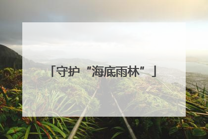 守护“海底雨林”