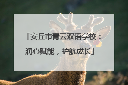 安丘市青云双语学校：润心赋能，护航成长