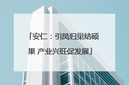 安仁：引凤归巢结硕果 产业兴旺促发展