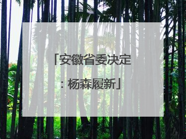 安徽省委决定：杨森履新