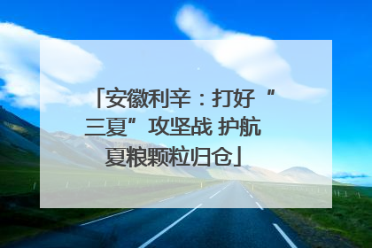 安徽利辛：打好“三夏”攻坚战 护航夏粮颗粒归仓