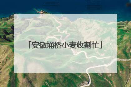 安徽埇桥小麦收割忙