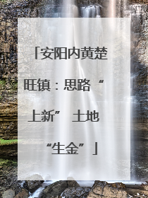 安阳内黄楚旺镇：思路“上新” 土地“生金”