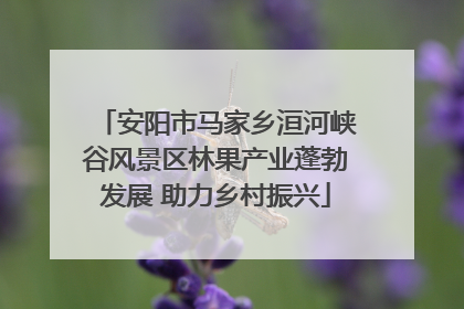 安阳市马家乡洹河峡谷风景区林果产业蓬勃发展 助力乡村振兴