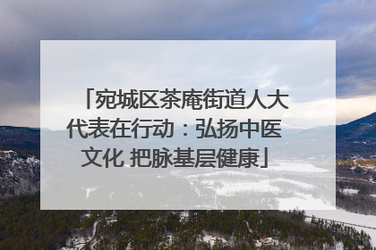 宛城区茶庵街道人大代表在行动：弘扬中医文化 把脉基层健康
