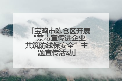 宝鸡市陈仓区开展“禁毒宣传进企业 共筑防线保安全”主题宣传活动