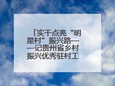 实干点亮“明星村”振兴路——记贵州省乡村振兴优秀驻村工作队员王培欢