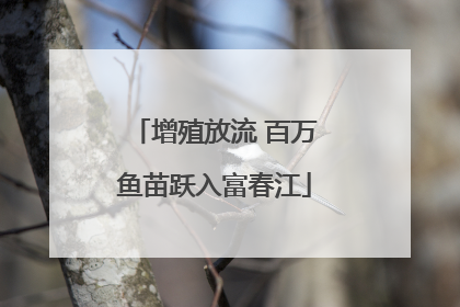 增殖放流 百万鱼苗跃入富春江