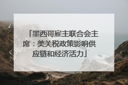 墨西哥雇主联合会主席：美关税政策影响供应链和经济活力