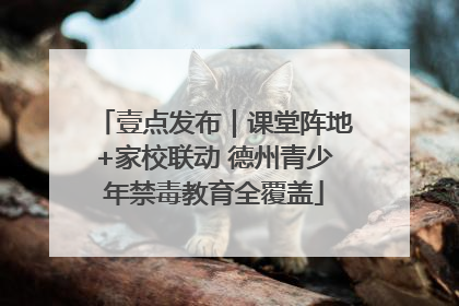 壹点发布｜课堂阵地+家校联动 德州青少年禁毒教育全覆盖