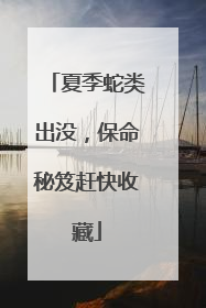 夏季蛇类出没,保命秘笈赶快收藏