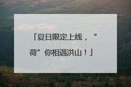 夏日限定上线，“荷”你相遇洪山！