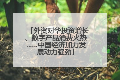 外资对华投资增长、数字产品消费火热……中国经济加力发展动力强劲