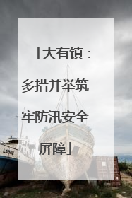 大有镇：多措并举筑牢防汛安全屏障