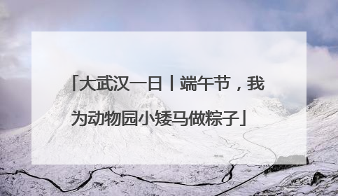 大武汉一日丨端午节，我为动物园小矮马做粽子
