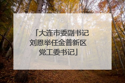 大连市委副书记刘恩举任金普新区党工委书记