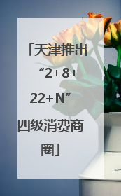 天津推出“2+8+22+N”四级消费商圈