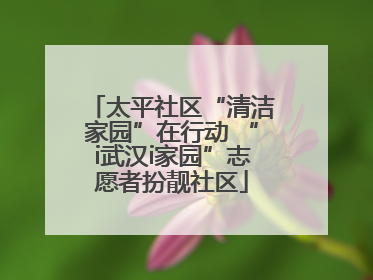 太平社区“清洁家园”在行动 “i武汉i家园”志愿者扮靓社区
