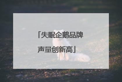 失眠企鹅品牌声量创新高