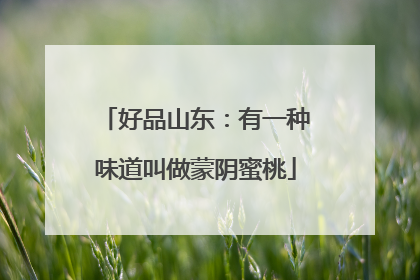 好品山东：有一种味道叫做蒙阴蜜桃