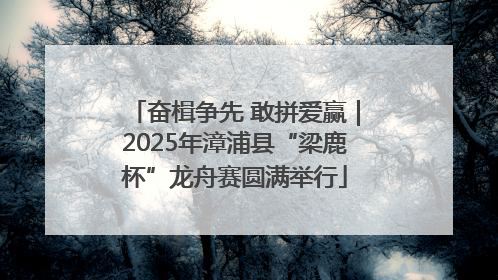 奋楫争先 敢拼爱赢｜2025年漳浦县“梁鹿杯”龙舟赛圆满举行