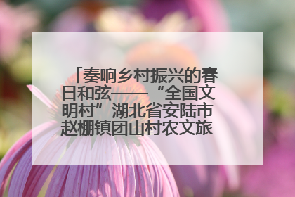 奏响乡村振兴的春日和弦——“全国文明村”湖北省安陆市赵棚镇团山村农文旅融合发展见闻