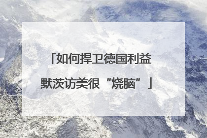 如何捍卫德国利益 默茨访美很“烧脑”