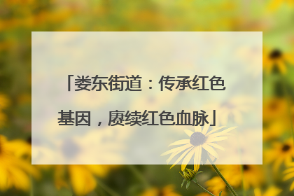 娄东街道：传承红色基因，赓续红色血脉
