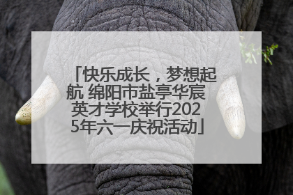 快乐成长，梦想起航 绵阳市盐亭华宸英才学校举行2025年六一庆祝活动