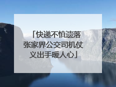 快递不慎遗落 张家界公交司机仗义出手暖人心