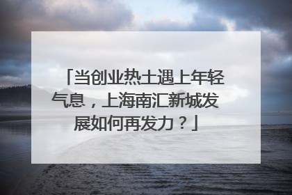 当创业热土遇上年轻气息，上海南汇新城发展如何再发力？