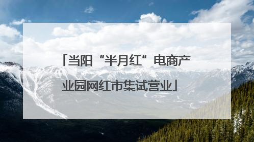 当阳“半月红”电商产业园网红市集试营业