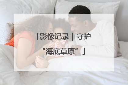 影像记录｜守护“海底草原”