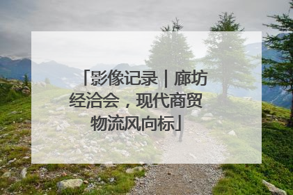 影像记录｜廊坊经洽会，现代商贸物流风向标