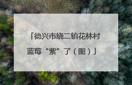 德兴市绕二镇花林村蓝莓“紫”了（图）
