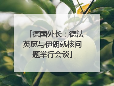 德国外长：德法英愿与伊朗就核问题举行会谈