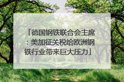 德国钢铁联合会主席：美加征关税给欧洲钢铁行业带来巨大压力